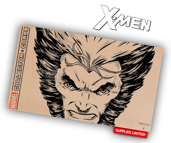 Příští téma boxu - X Men